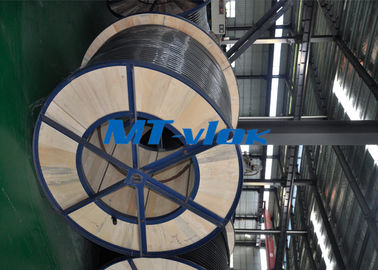 Multi - Core Stainless Steel Coiled Tubing ASTM A213 S30400 / S30403 Bright Annealed
